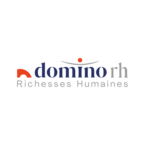 Logo Domino missions